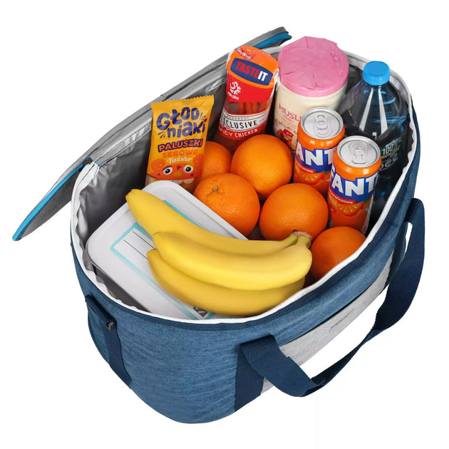 Šaltkrepšis Nils Camp NC2903 32 L, mėlynas